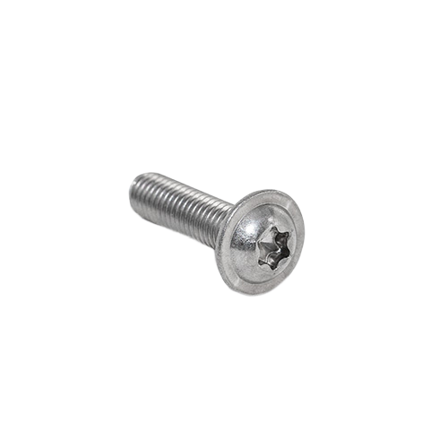 Laag bolkop bout met torx M8x12mm, rvs 316