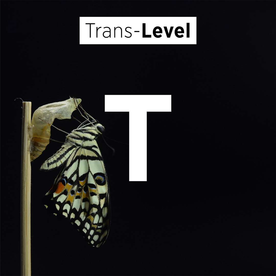 Trans-Level