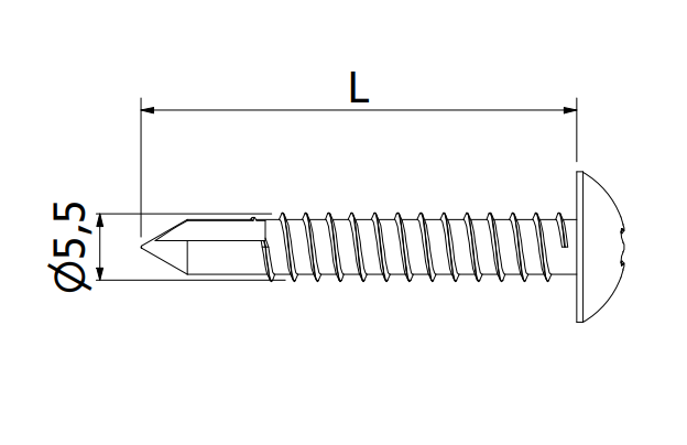 Self-tapping Fixing Screw - AISI 304