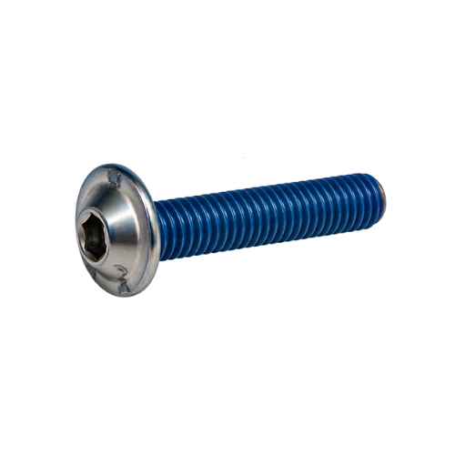 Vis à tête ronde basse avec torx M6x30mm, inox 304