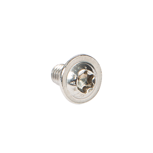 Lage ronde kopschroef met torx M6x10mm, rvs 304