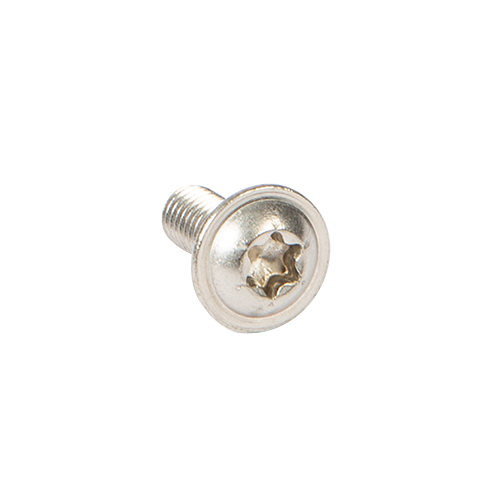 Laag bolkop bout met torx M5x12mm, rvs 304